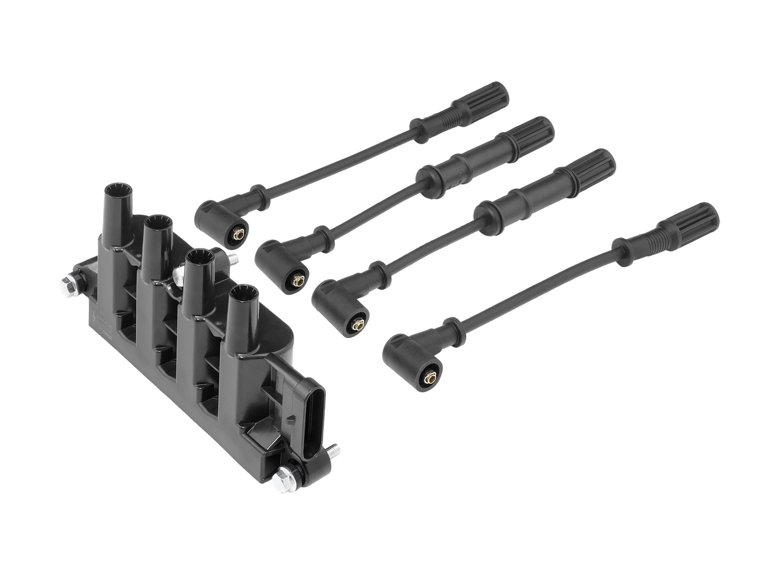 Ritė, uždegimas BorgWarner (BERU) ZS079A