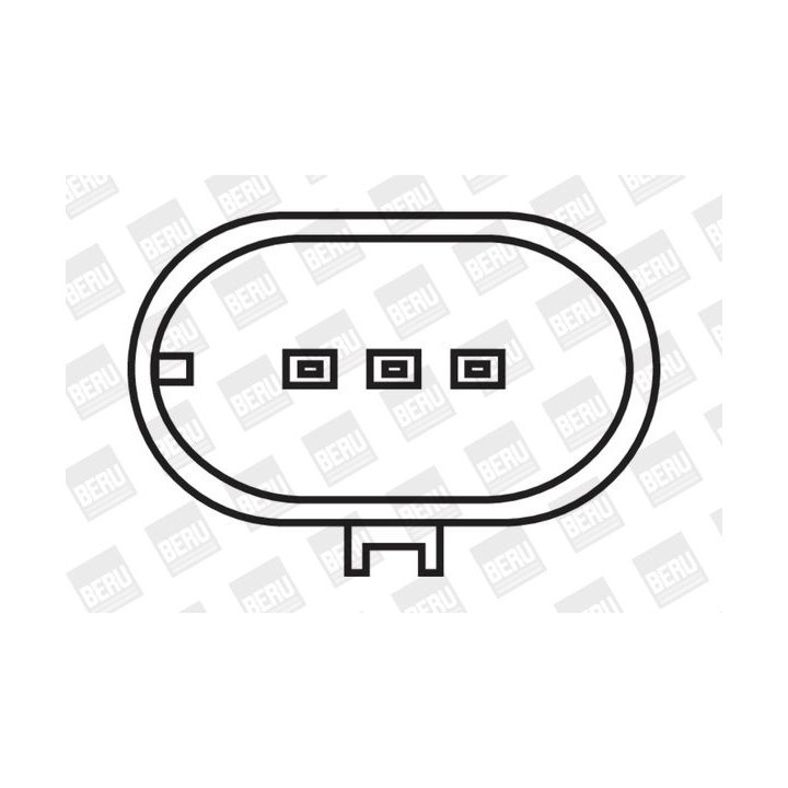 Ritė, uždegimas BorgWarner (BERU) ZS088