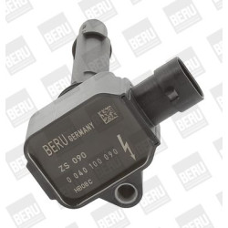 Ritė, uždegimas BorgWarner (BERU) ZS090