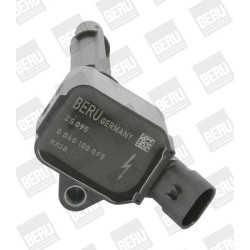 Ritė, uždegimas BorgWarner (BERU) ZS095