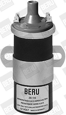 Ritė, uždegimas BorgWarner (BERU) ZS115