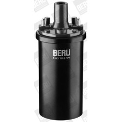 Ritė, uždegimas BorgWarner (BERU) ZS119