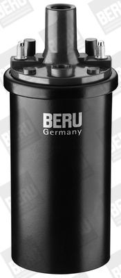 Ritė, uždegimas BorgWarner (BERU) ZS119