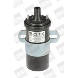 Ritė, uždegimas BorgWarner (BERU) ZS120