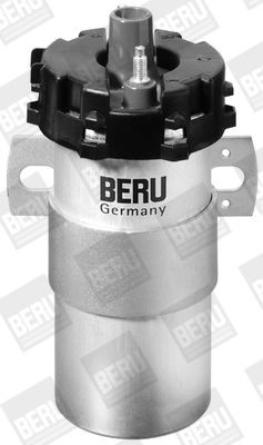 Ritė, uždegimas BorgWarner (BERU) ZS126
