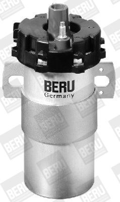 Ritė, uždegimas BorgWarner (BERU) ZS126