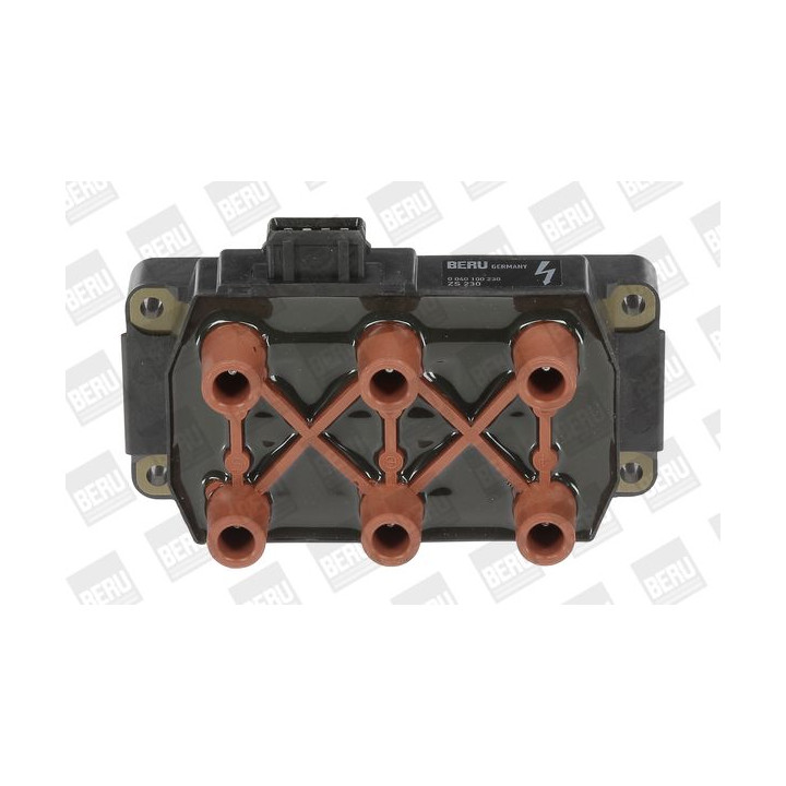 Ritė, uždegimas BorgWarner (BERU) ZS230