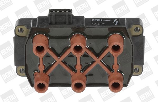 Ritė, uždegimas BorgWarner (BERU) ZS230