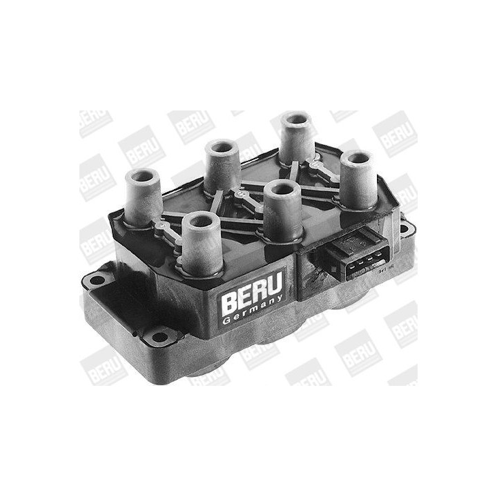 Ritė, uždegimas BorgWarner (BERU) ZS230