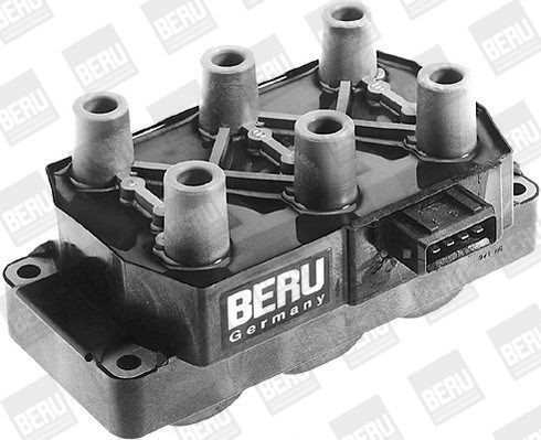 Ritė, uždegimas BorgWarner (BERU) ZS230