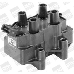 Ritė, uždegimas BorgWarner (BERU) ZS231