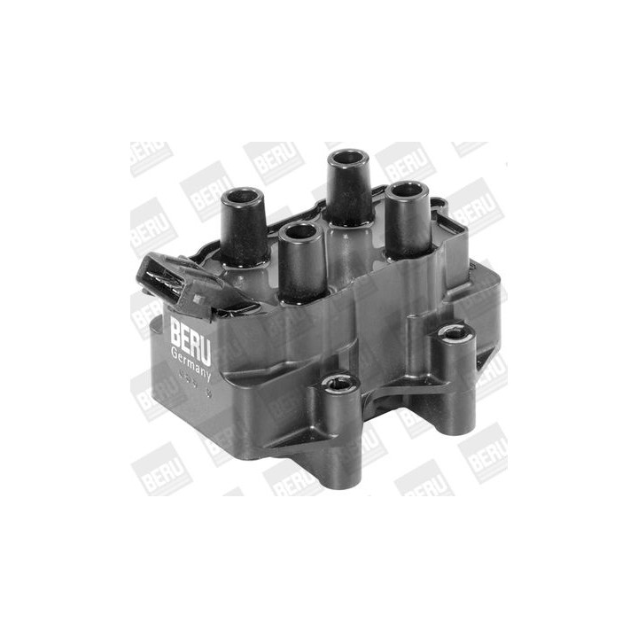 Ritė, uždegimas BorgWarner (BERU) ZS231