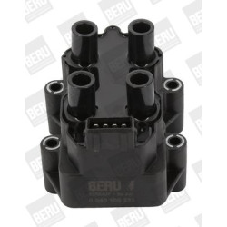 Ritė, uždegimas BorgWarner (BERU) ZS232