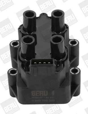 Ritė, uždegimas BorgWarner (BERU) ZS232