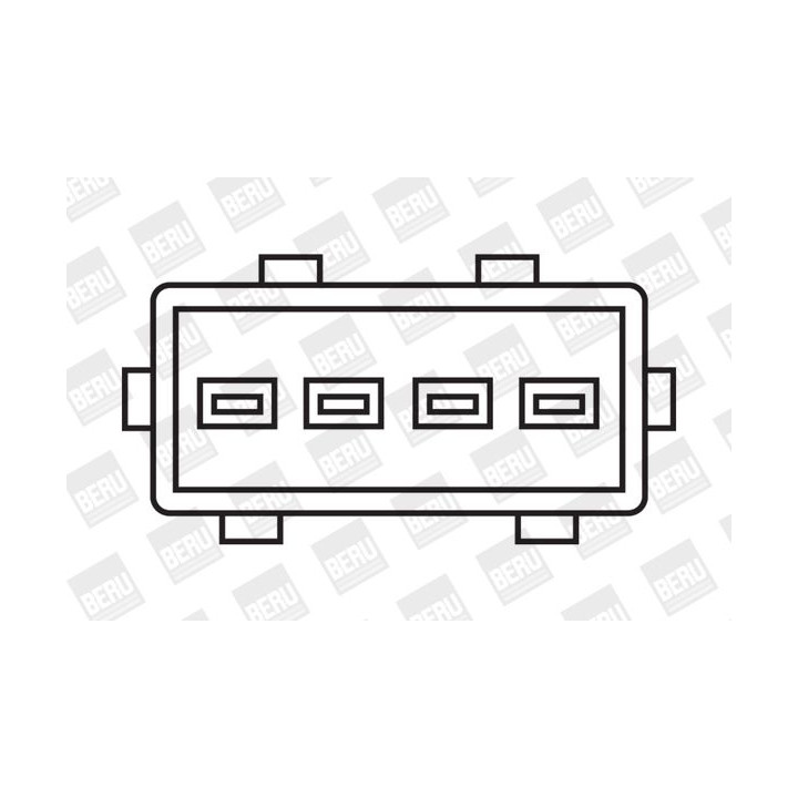 Ritė, uždegimas BorgWarner (BERU) ZS232