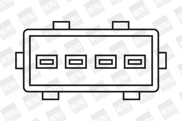 Ritė, uždegimas BorgWarner (BERU) ZS232