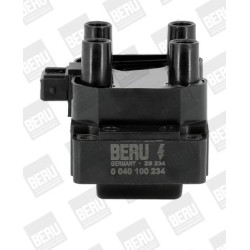 Ritė, uždegimas BorgWarner (BERU) ZS234