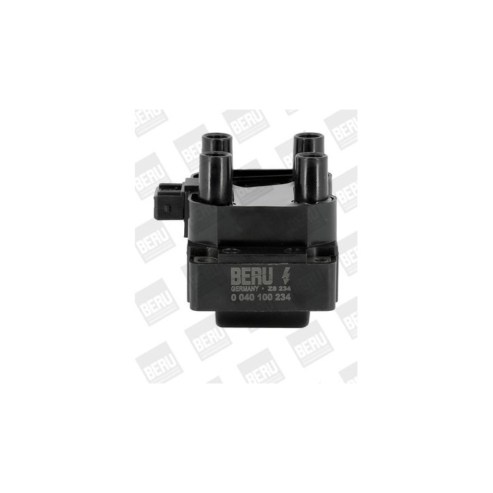 Ritė, uždegimas BorgWarner (BERU) ZS234