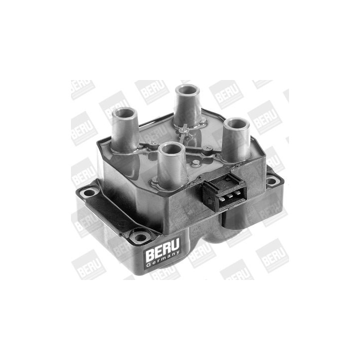 Ritė, uždegimas BorgWarner (BERU) ZS234