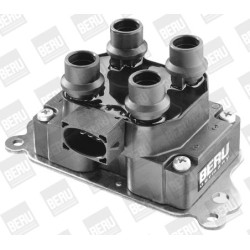 Ritė, uždegimas BorgWarner (BERU) ZS237