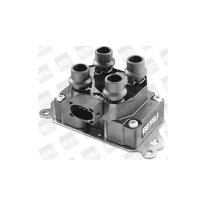 Ritė, uždegimas BorgWarner (BERU) ZS237