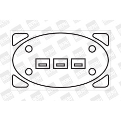 Ritė, uždegimas BorgWarner (BERU) ZS238