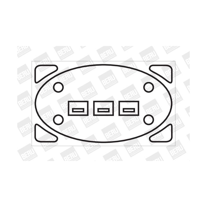 Ritė, uždegimas BorgWarner (BERU) ZS238