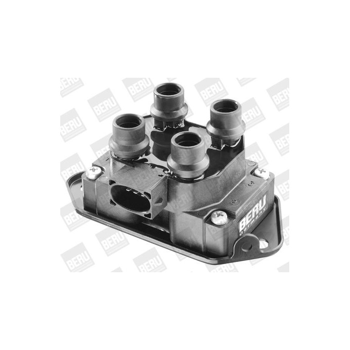 Ritė, uždegimas BorgWarner (BERU) ZS238