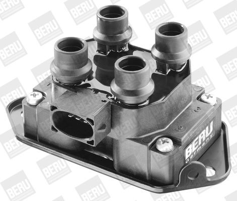 Ritė, uždegimas BorgWarner (BERU) ZS238