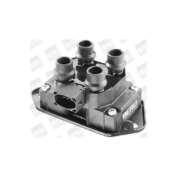 Ritė, uždegimas BorgWarner (BERU) ZS238