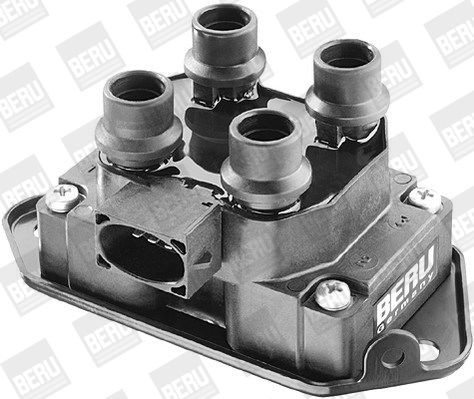 Ritė, uždegimas BorgWarner (BERU) ZS238