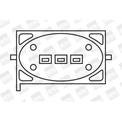Ritė, uždegimas BorgWarner (BERU) ZS239