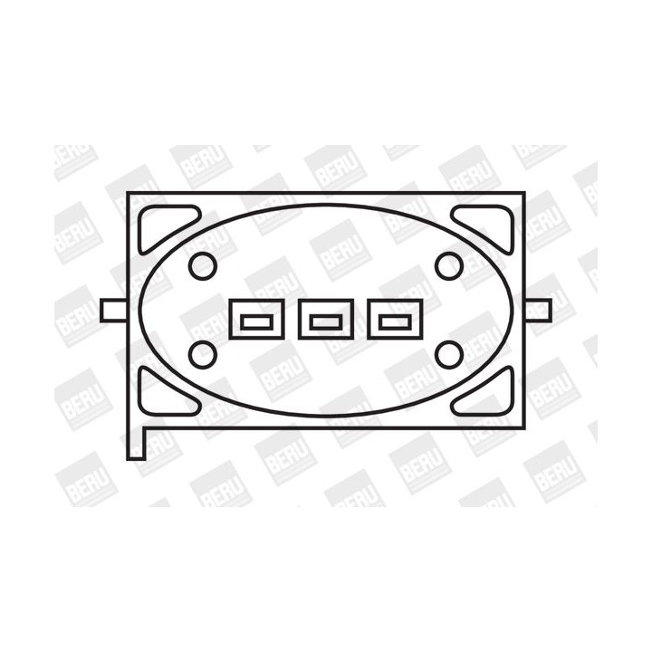 Ritė, uždegimas BorgWarner (BERU) ZS239