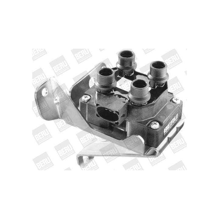 Ritė, uždegimas BorgWarner (BERU) ZS239