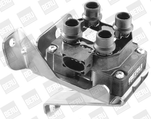 Ritė, uždegimas BorgWarner (BERU) ZS239