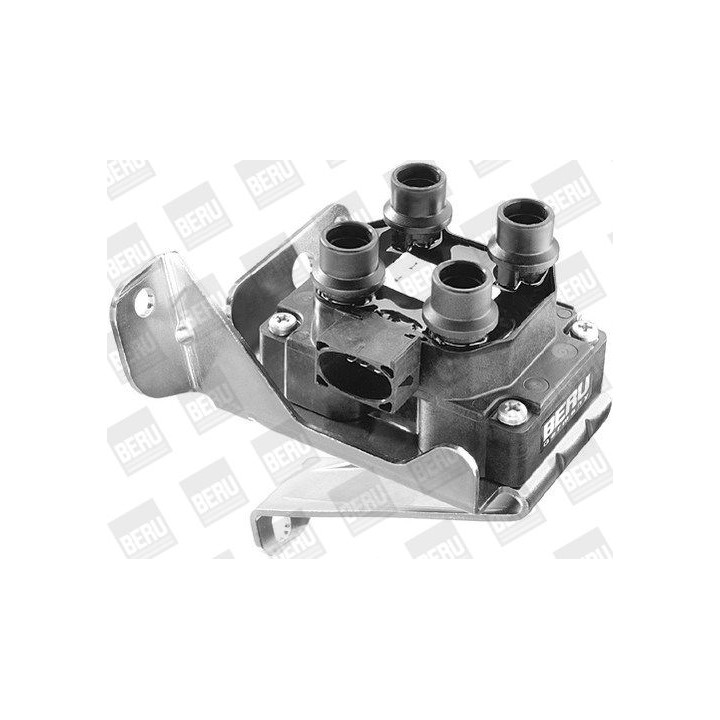 Ritė, uždegimas BorgWarner (BERU) ZS239