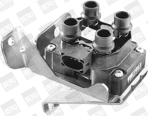 Ritė, uždegimas BorgWarner (BERU) ZS239