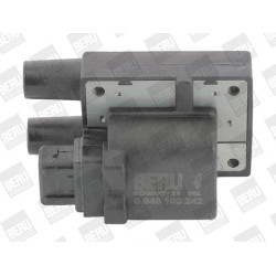 Ritė, uždegimas BorgWarner (BERU) ZS242