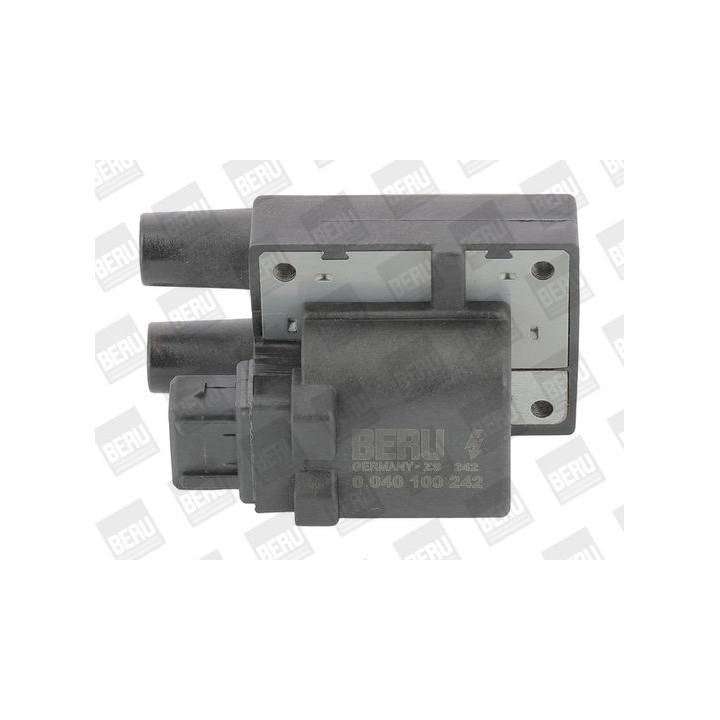 Ritė, uždegimas BorgWarner (BERU) ZS242