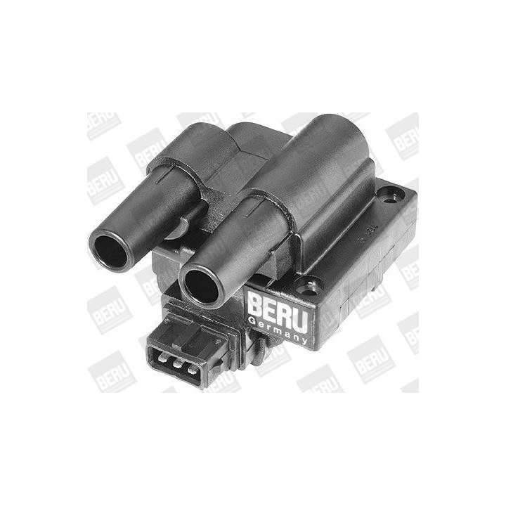 Ritė, uždegimas BorgWarner (BERU) ZS242