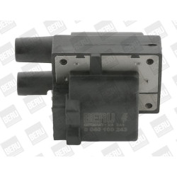Ritė, uždegimas BorgWarner (BERU) ZS243
