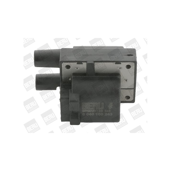 Ritė, uždegimas BorgWarner (BERU) ZS243
