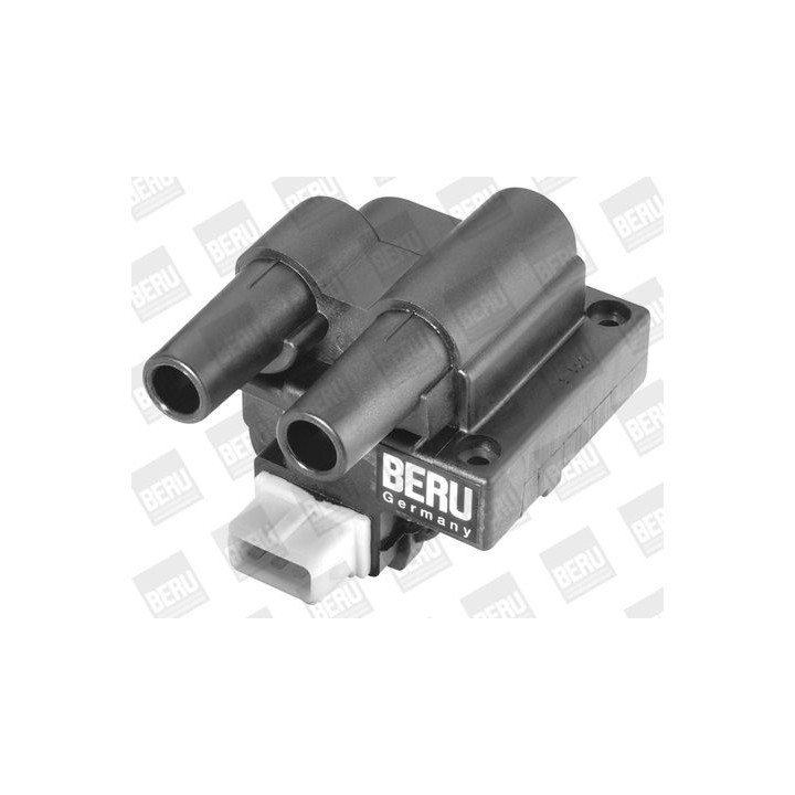 Ritė, uždegimas BorgWarner (BERU) ZS243