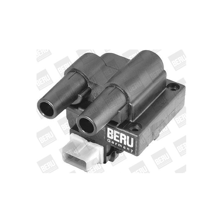 Ritė, uždegimas BorgWarner (BERU) ZS243