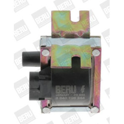 Ritė, uždegimas BorgWarner (BERU) ZS244