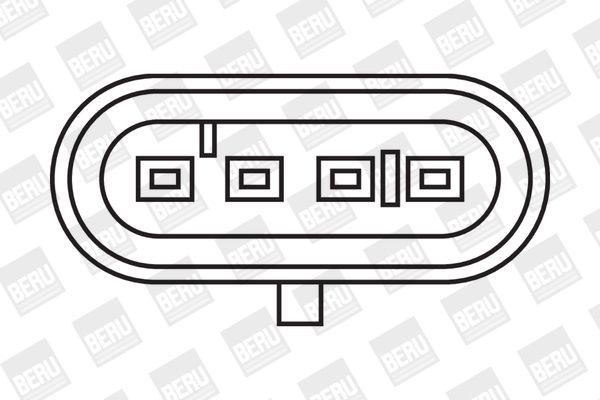 Ritė, uždegimas BorgWarner (BERU) ZS244