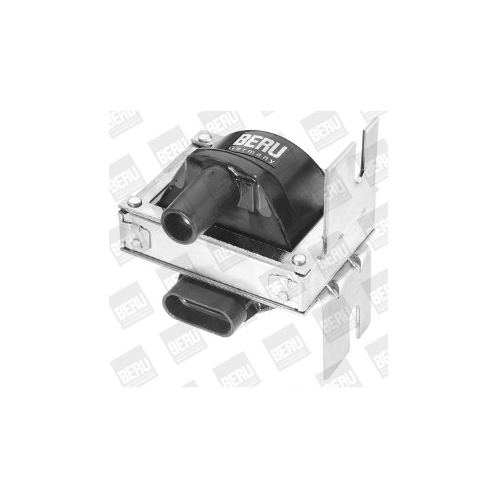 Ritė, uždegimas BorgWarner (BERU) ZS244