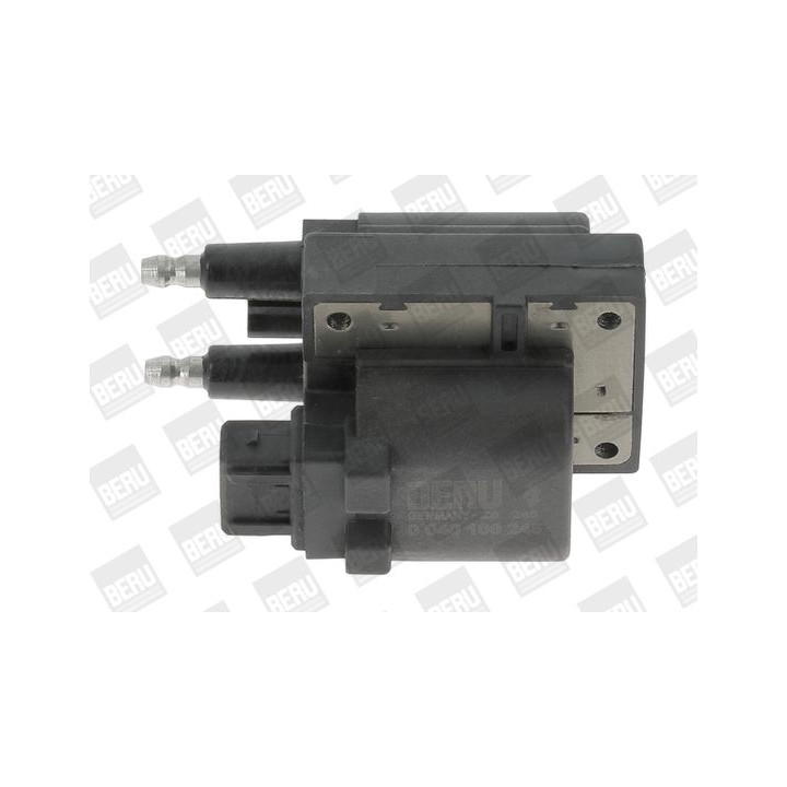 Ritė, uždegimas BorgWarner (BERU) ZS245