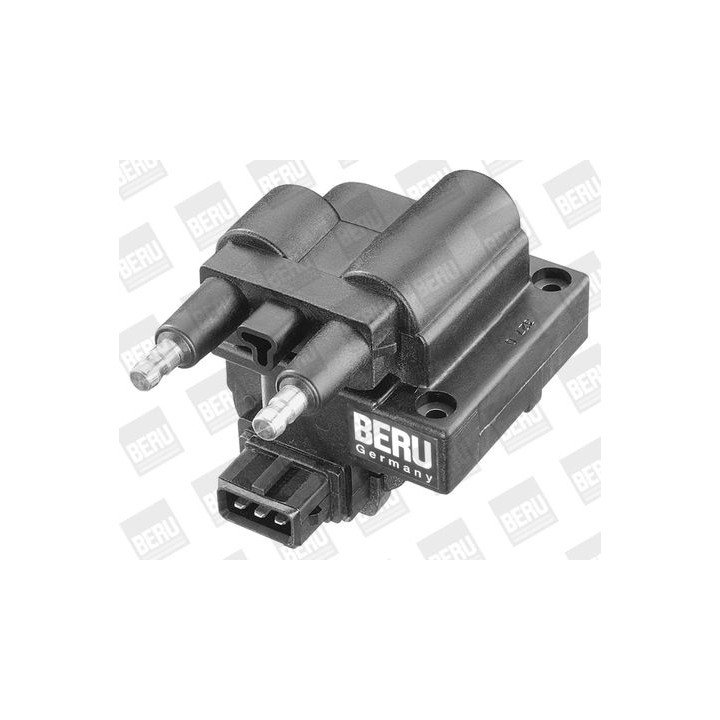 Ritė, uždegimas BorgWarner (BERU) ZS245