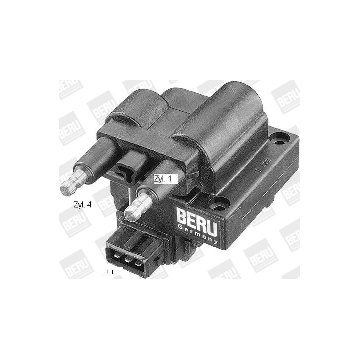 Ritė, uždegimas BorgWarner (BERU) ZS245